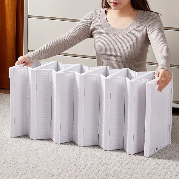 Zapatero Organizador 6 Niveles