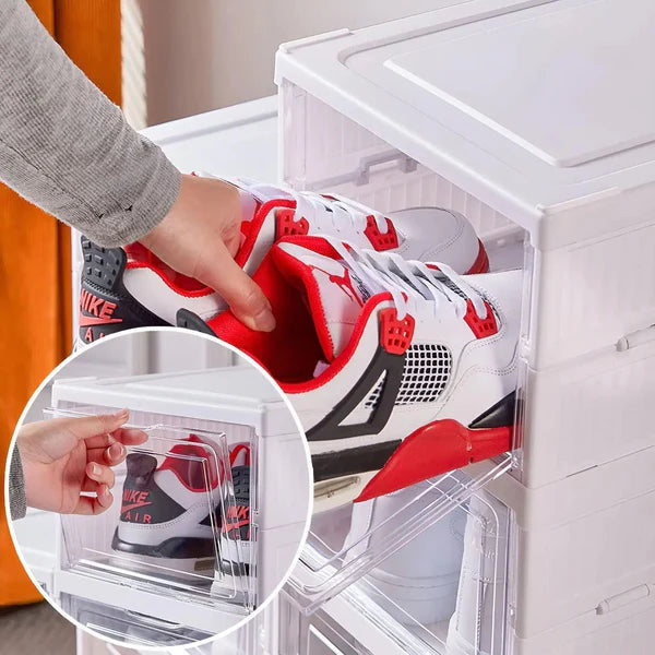 Zapatero Organizador 6 Niveles